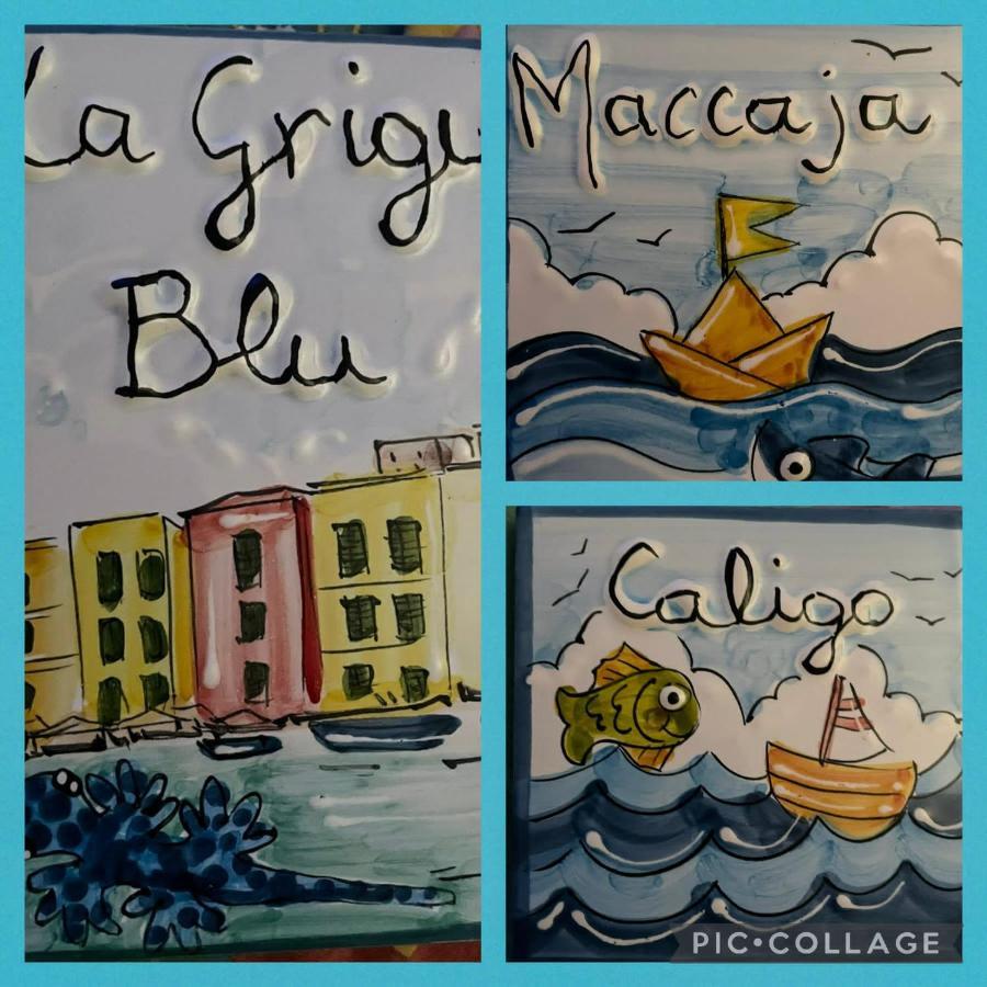 La Grigua Blu Apartman Riomaggiore Kültér fotó